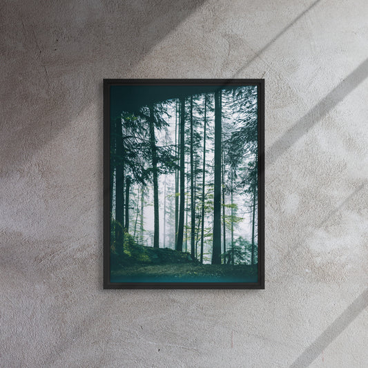 high quality framed canvas portrait outdoor fantasy image