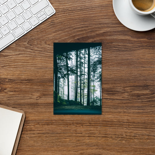 high quality outdoor portrait post card for gifting